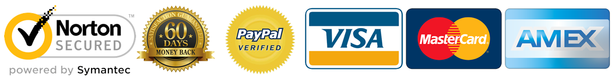 Visa, Mastercard, PayPal, Apple Pay, Klarna and more